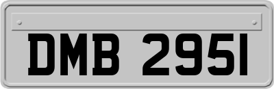 DMB2951
