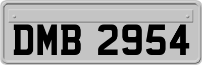 DMB2954