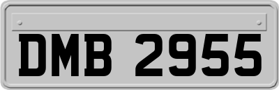 DMB2955