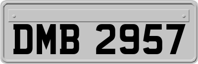 DMB2957