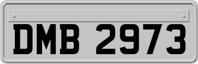 DMB2973