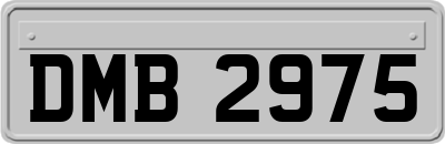DMB2975