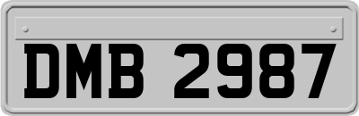 DMB2987