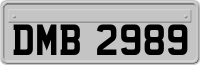 DMB2989