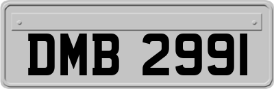 DMB2991