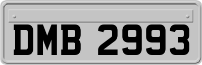 DMB2993