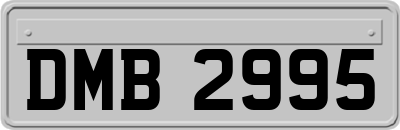 DMB2995