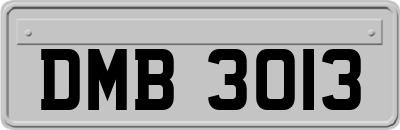 DMB3013