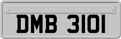 DMB3101