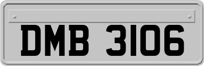 DMB3106