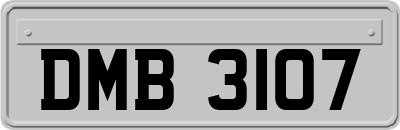 DMB3107