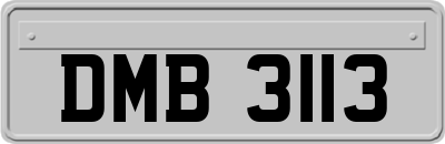 DMB3113