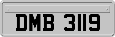 DMB3119