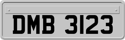 DMB3123