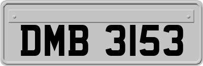 DMB3153