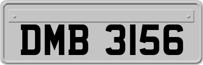 DMB3156
