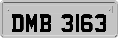 DMB3163