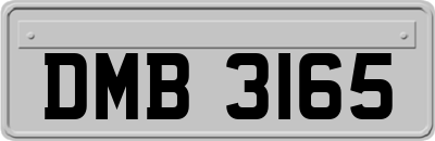 DMB3165