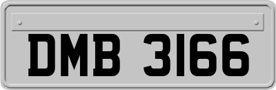 DMB3166