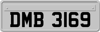 DMB3169