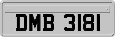 DMB3181