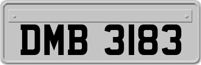 DMB3183