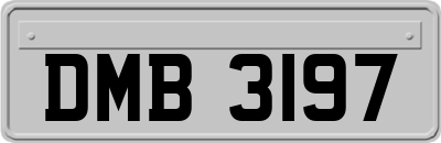 DMB3197