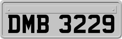 DMB3229