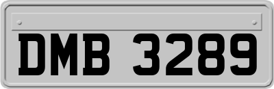 DMB3289