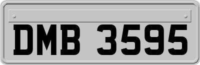 DMB3595