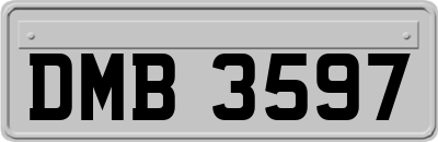 DMB3597
