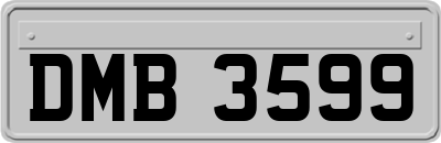 DMB3599
