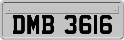 DMB3616