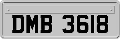 DMB3618