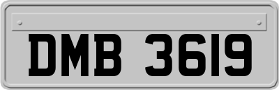 DMB3619