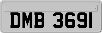 DMB3691