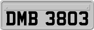 DMB3803
