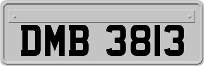 DMB3813