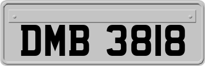 DMB3818