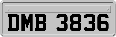 DMB3836