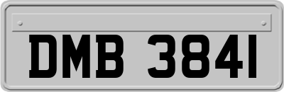 DMB3841