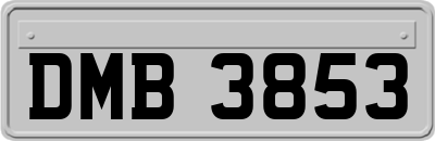 DMB3853