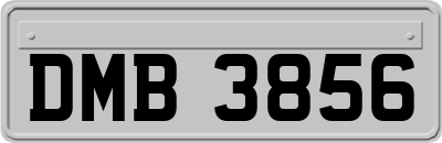 DMB3856