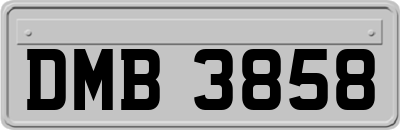 DMB3858