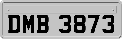 DMB3873