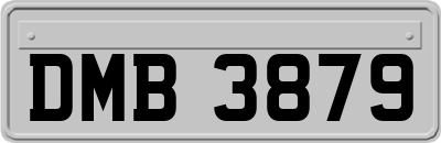 DMB3879