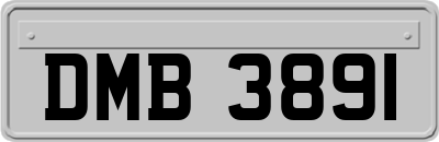 DMB3891