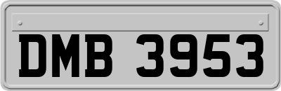 DMB3953