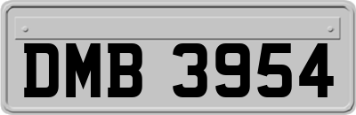 DMB3954
