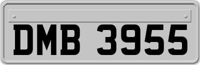 DMB3955
